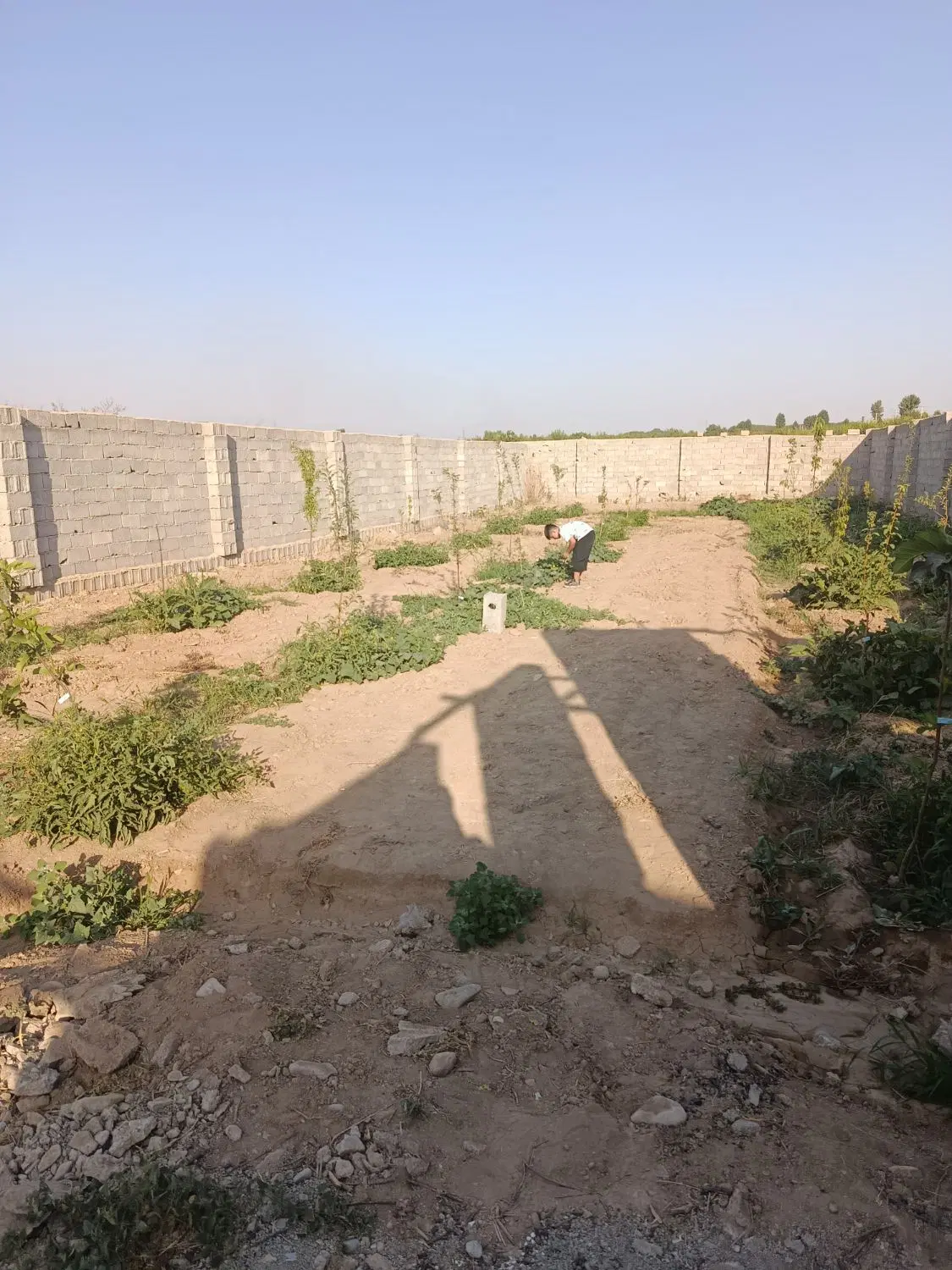 ۵۰۰ متر زمین چهاردیواری