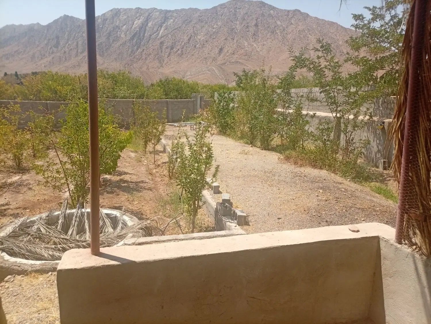 زمین کوهپایه
