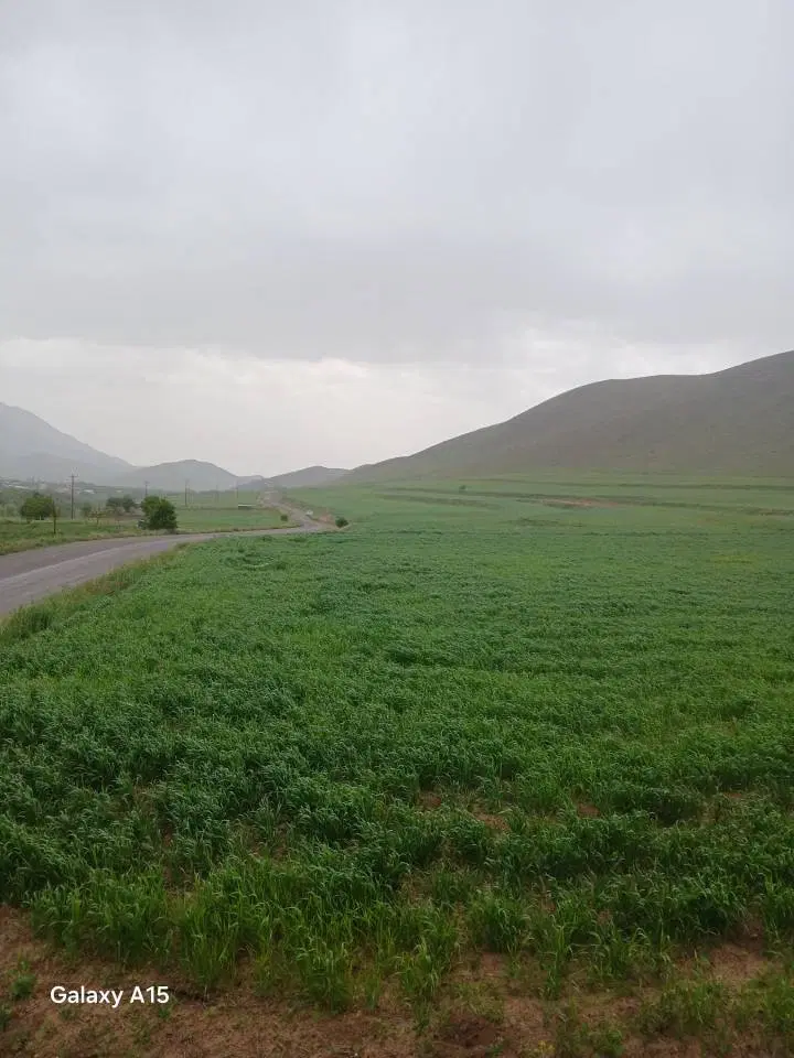 ۱۰ پلاک ۳۵۰ متری کنار رودخانه و جاده( چوبک)