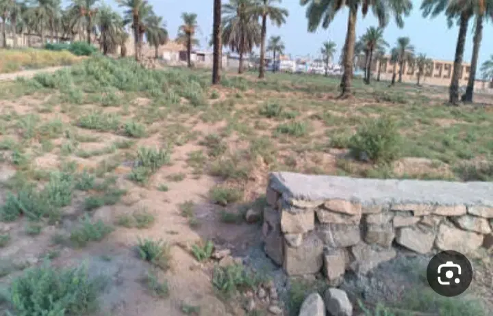 زمین جزیره مینو صمدیه