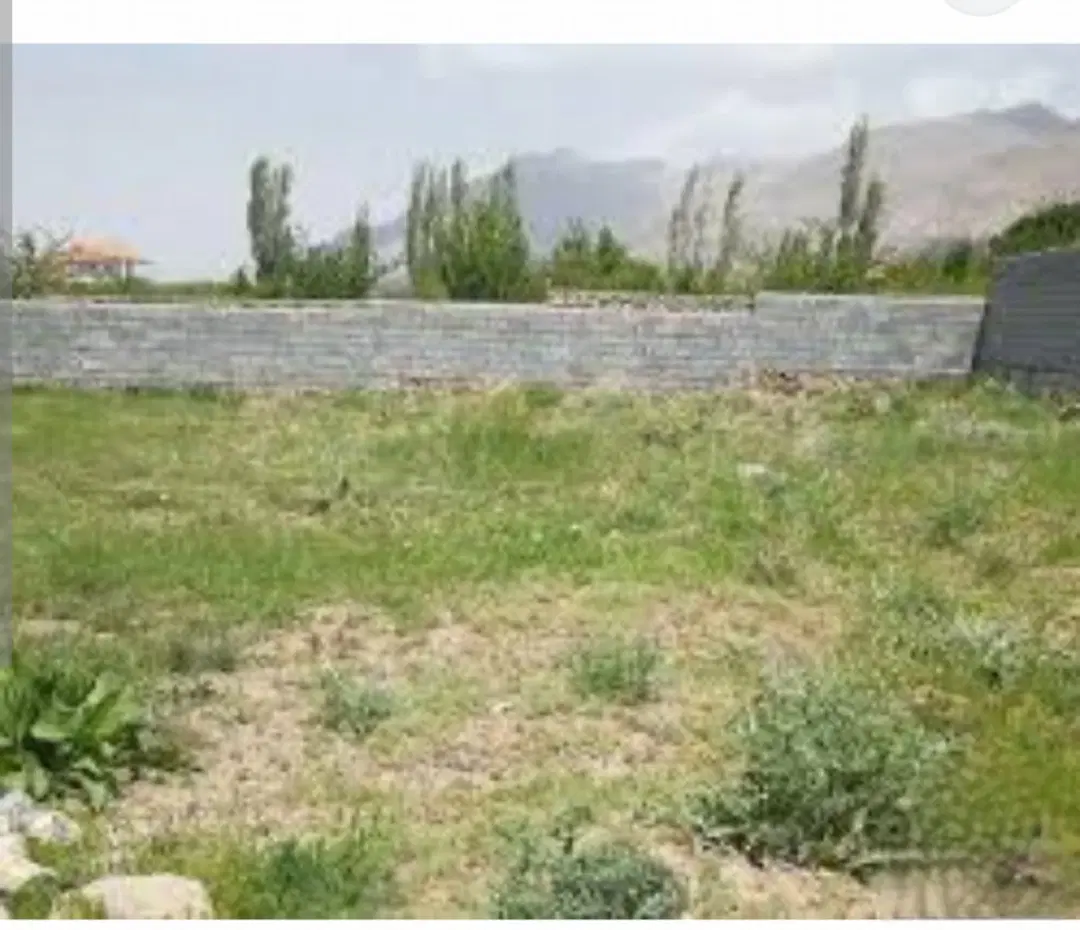 دو قطعه زمین لاسبید