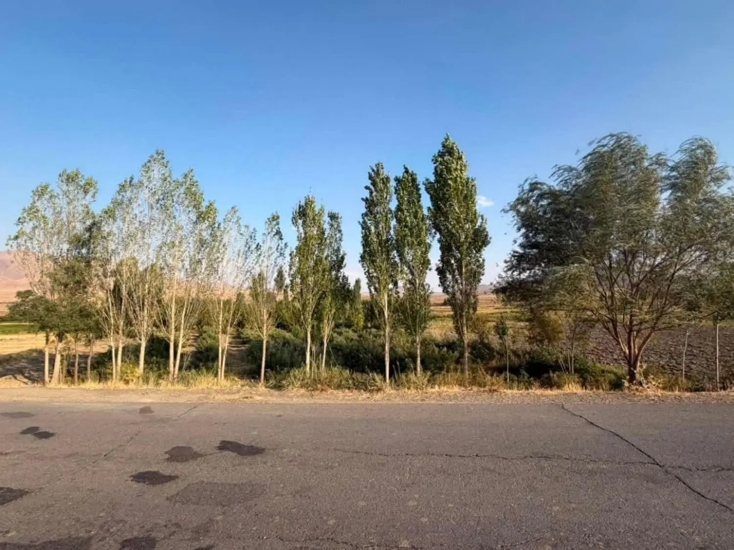 زمین باغ کشاورزی