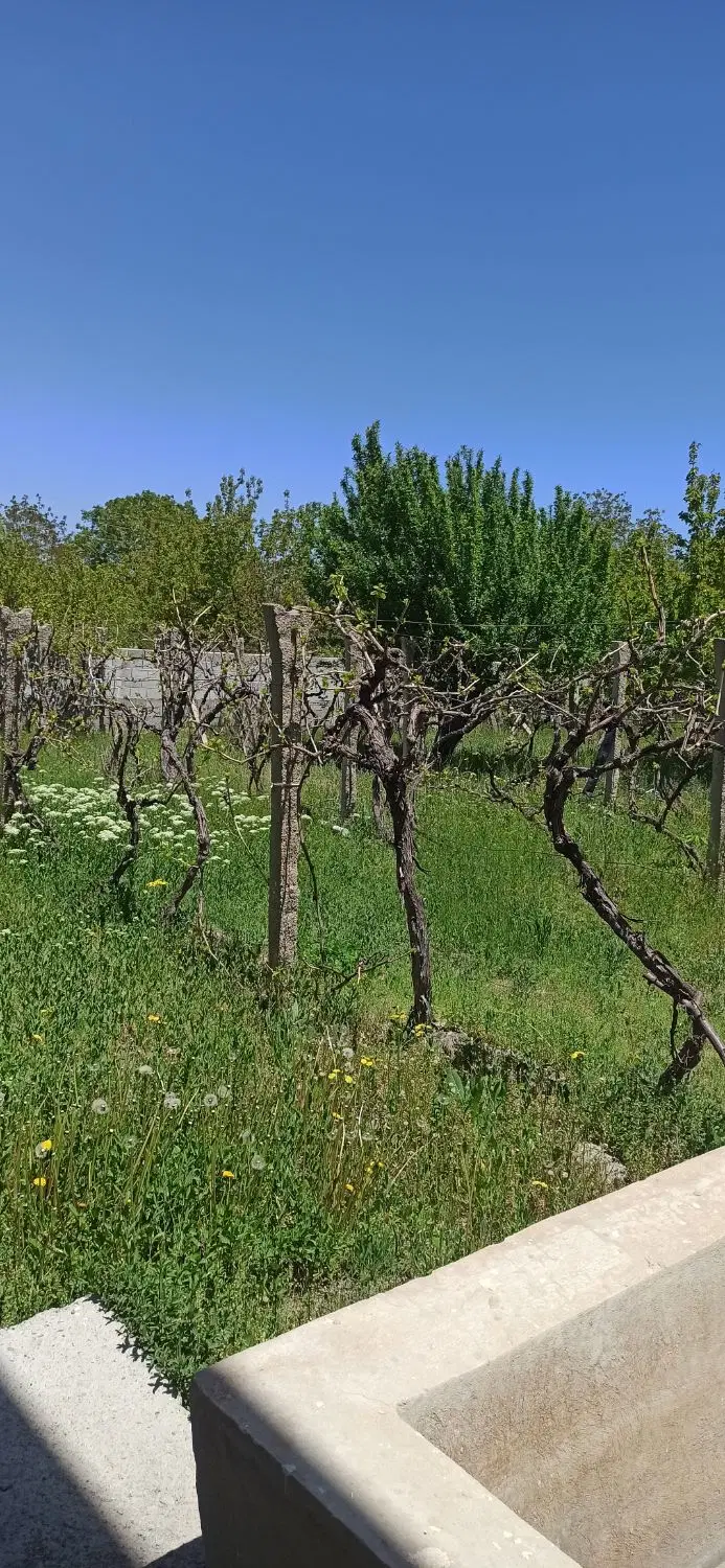کوی ارس خیابان ولنجک