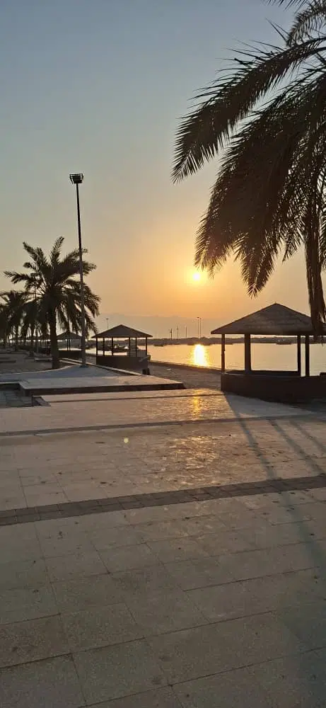 اجاره خانه آپارتمان