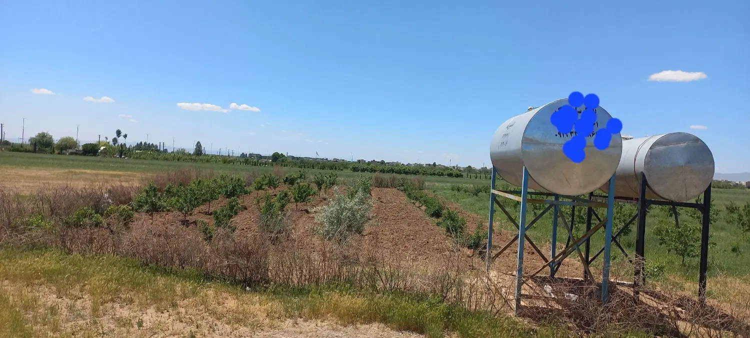 باغ نزدیک خیابان اصلی بین بیدستان و محمدیه