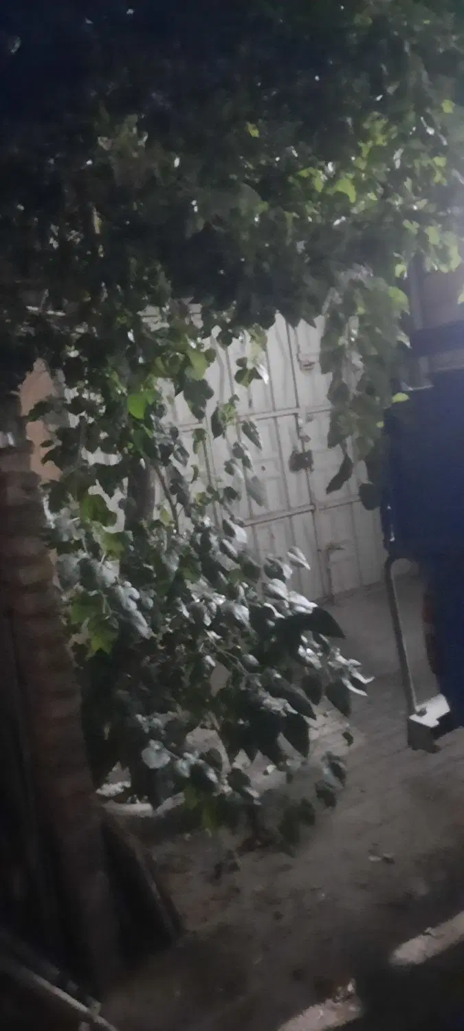 اجاره خانه شهرک بهارآزادگان کیهانشهر