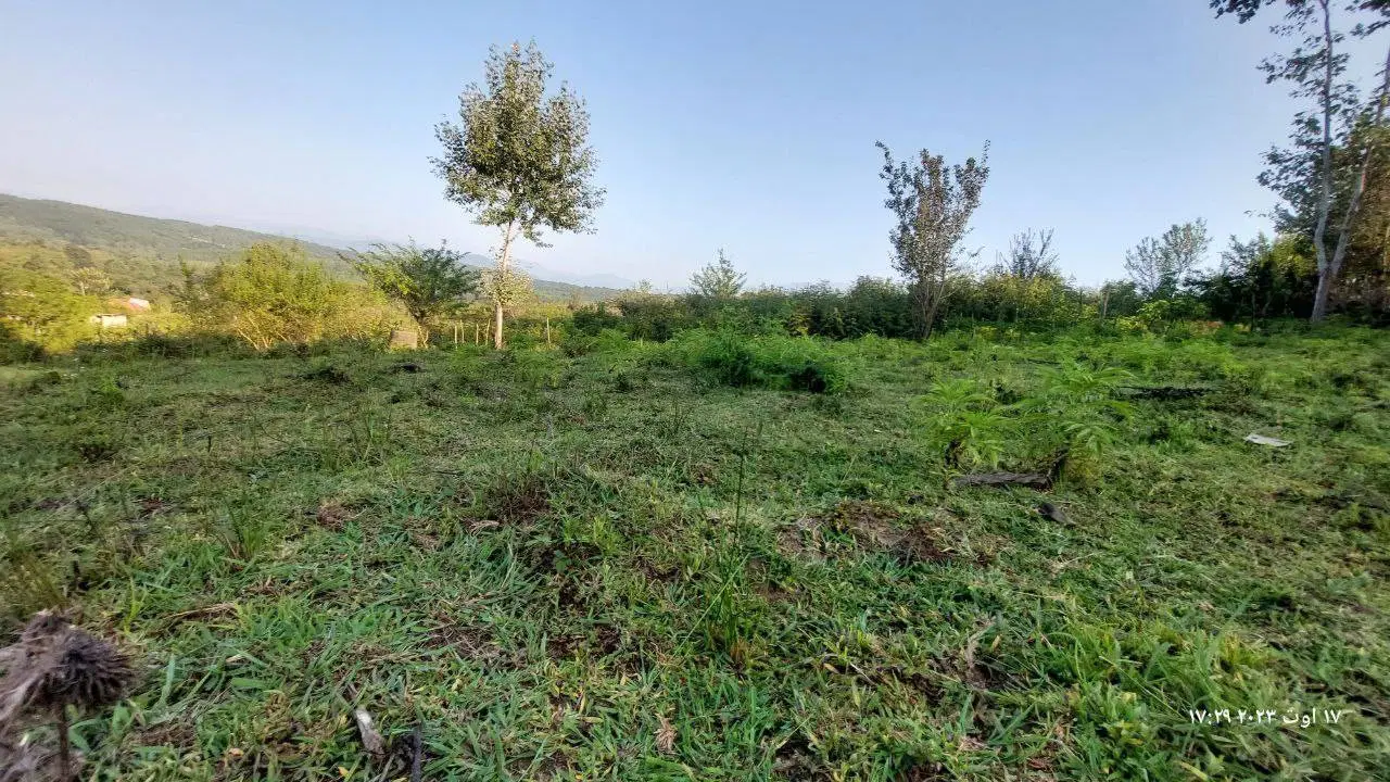 خودم فروشنده ام(بدون واسطه) ، زمین با مجوز ساخت