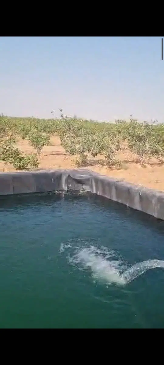 فروش باغ پسته