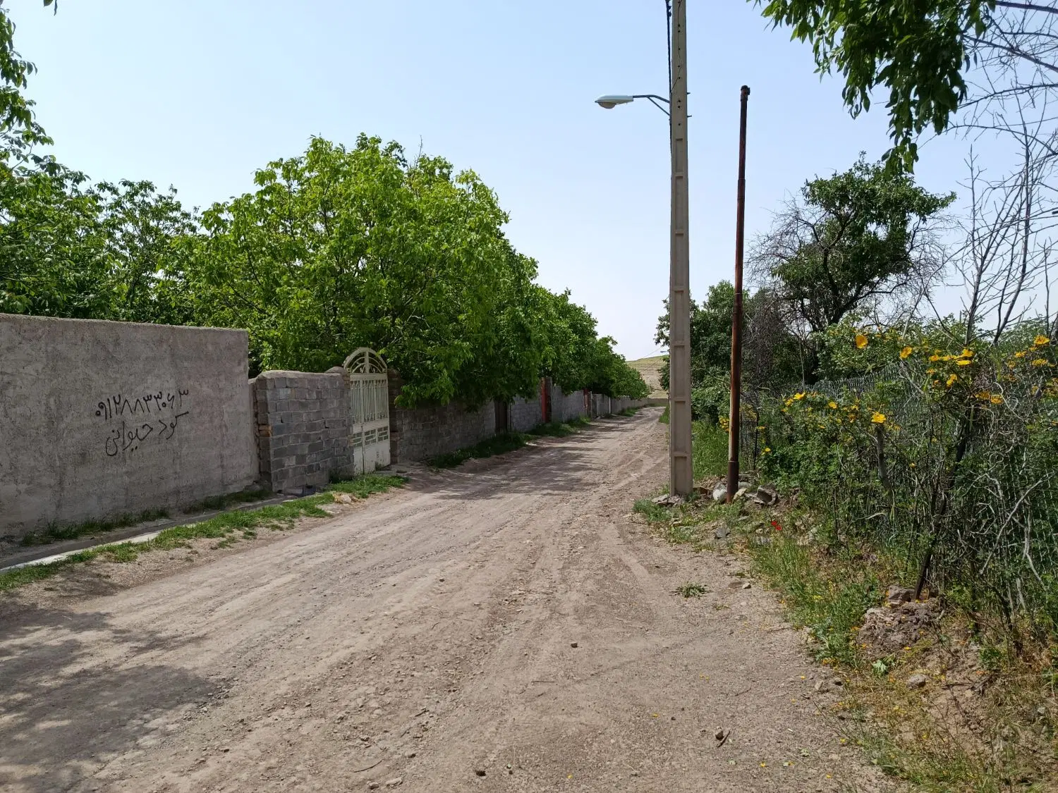 چهار دیواری آماده به متراژ ۲۶۰ متر با درختان گردو