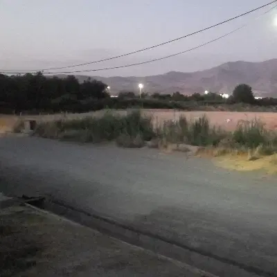 زمین باغی زراعی