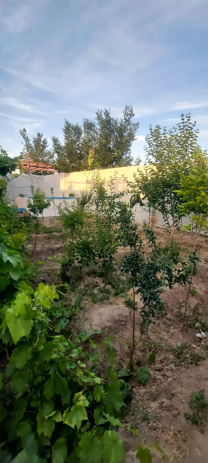 خانه باغ باسفهرجان