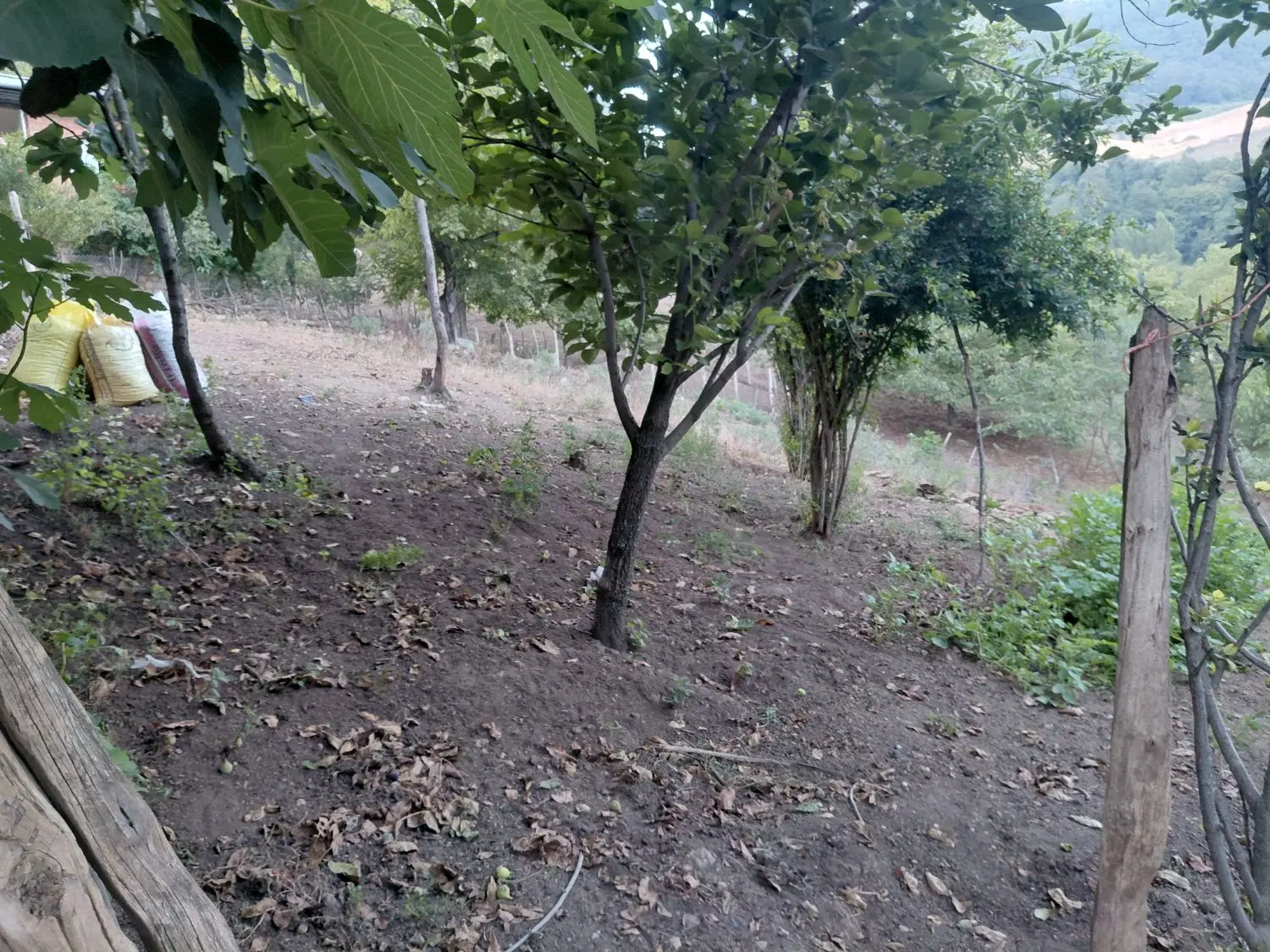 زمین فروشی در روستای خاکپیرزن