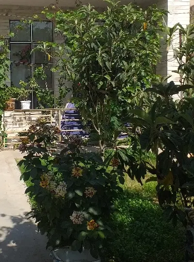 فروش زمین مسکونی