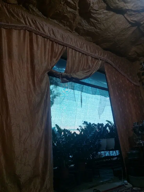 همخانه