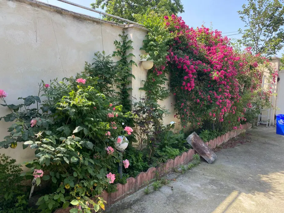 ویلای دربستی با ویودبسیار زیبا