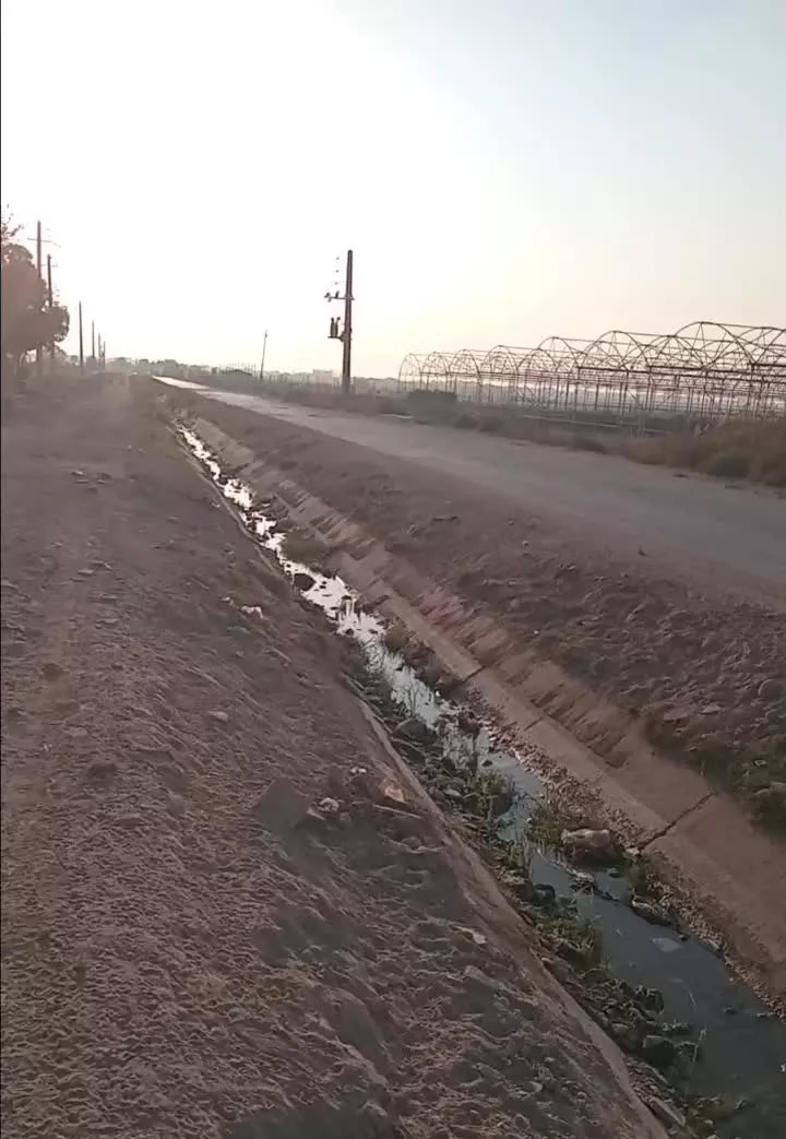 1000 متری