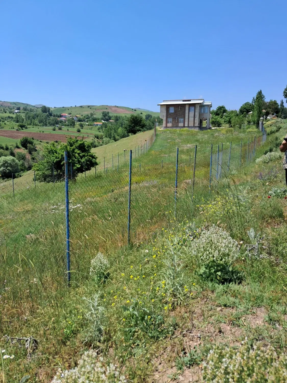 زمین ییلاقی واقع در روستای آسیابر دیلمان گیلان