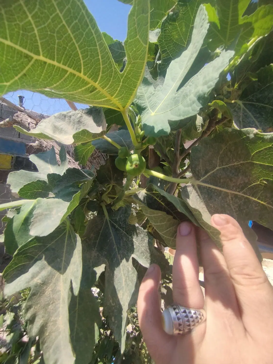 خونه 100متری