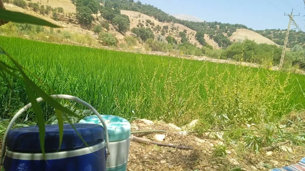 زمین متراز ۱۷۰۰متر در ۳قواره هم می‌فروشیم
