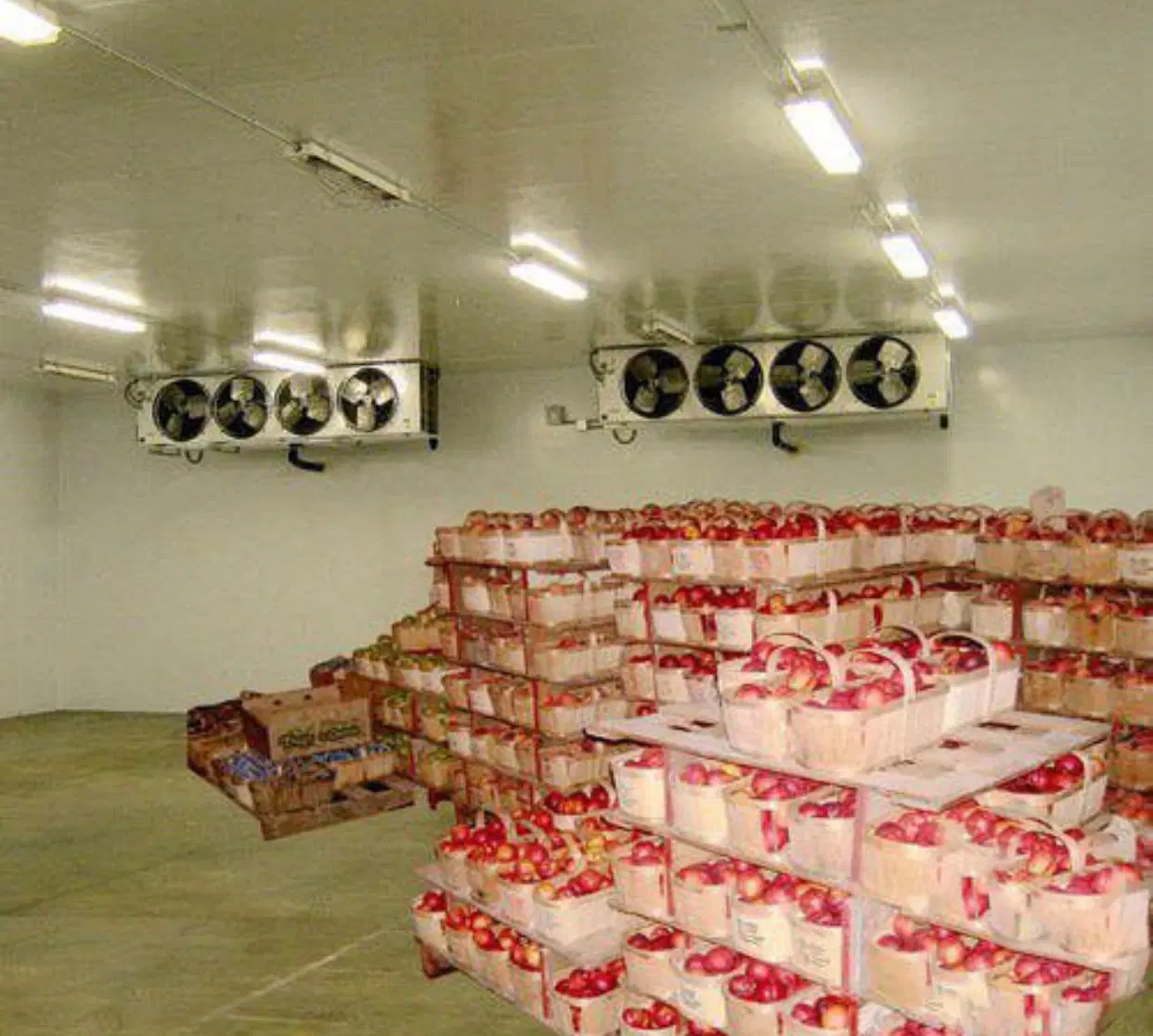سردخانه اجاره ای