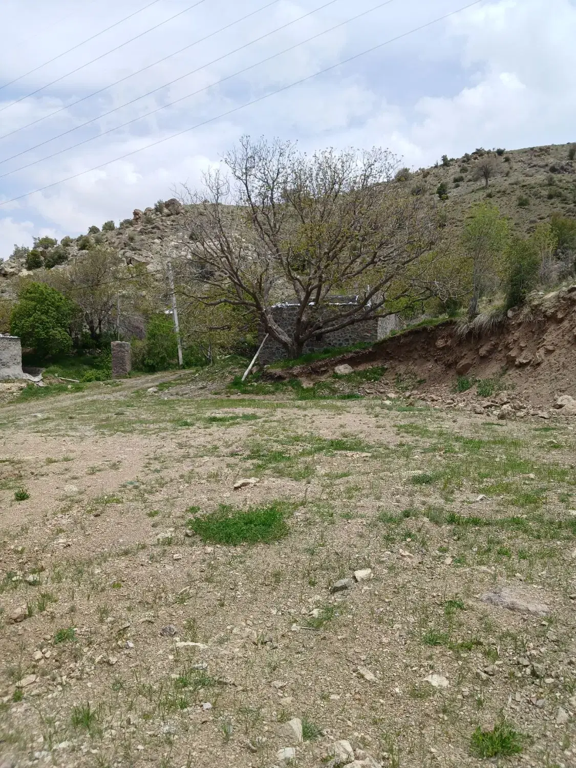 زمین دهبکری روستای بید جنگل