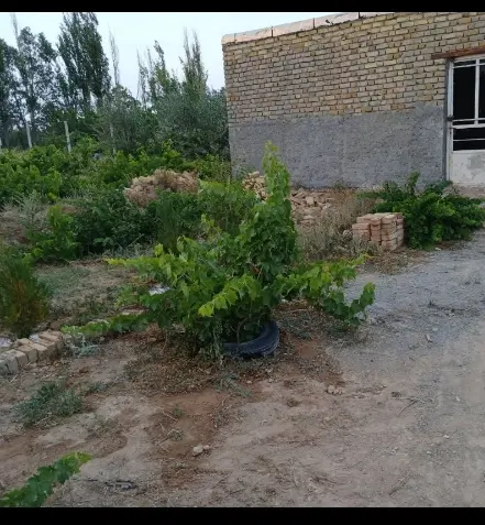 باغ طرمز