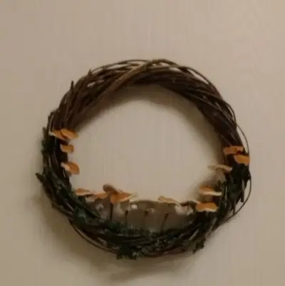 باغ جاده نغندر به کنگ