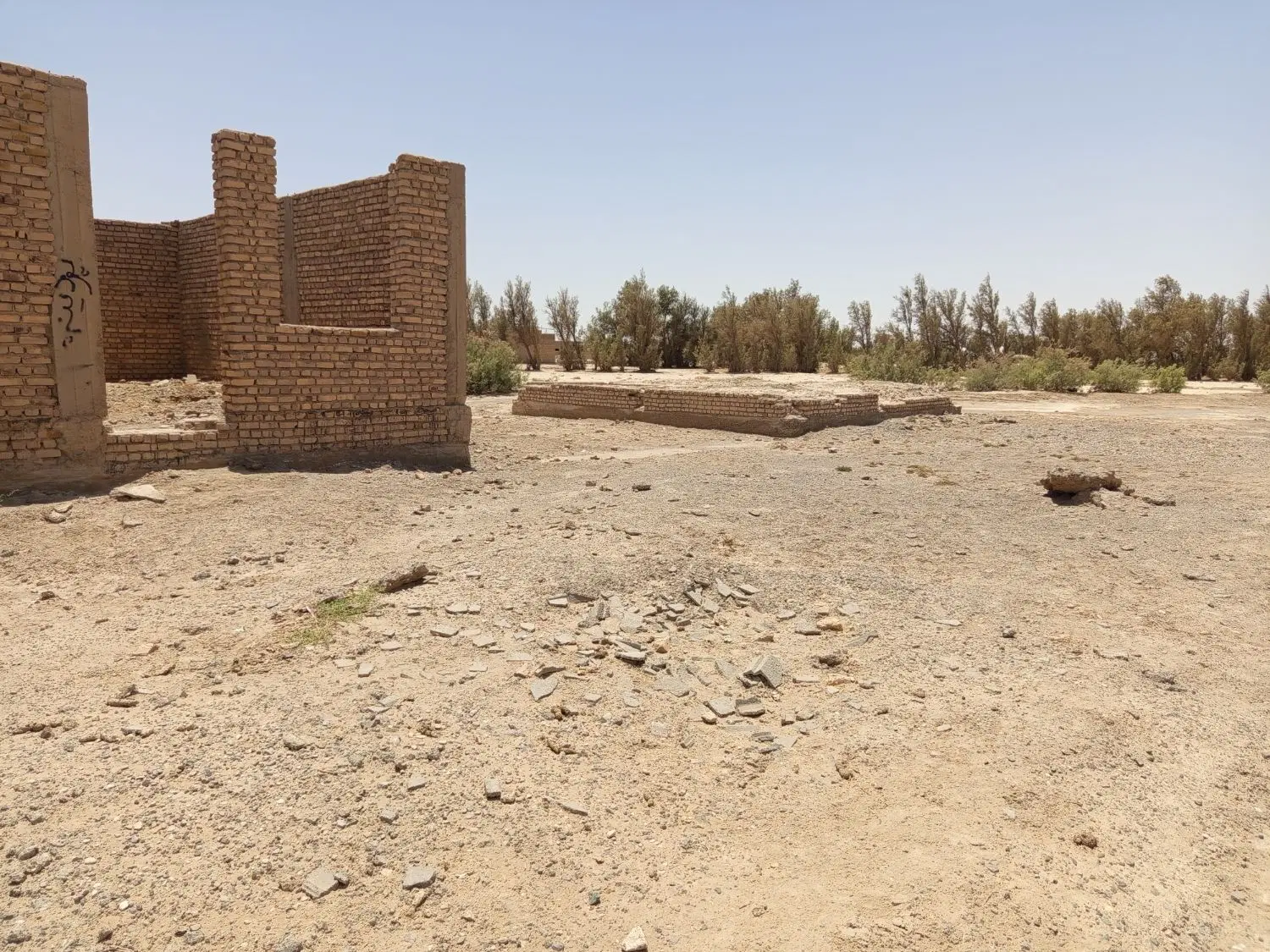 یک زمین سر نبش کوچه با سند ششدانگ تک برگ