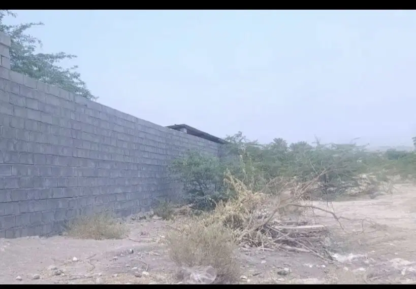 زمین کرناچی کوچه 134 شمالی