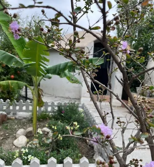 خونه باغ چسبیده به گرگان پشت هتل آذین