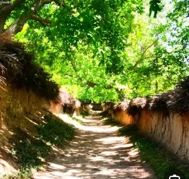 باغ گروه ۵ فرهنگ شهر