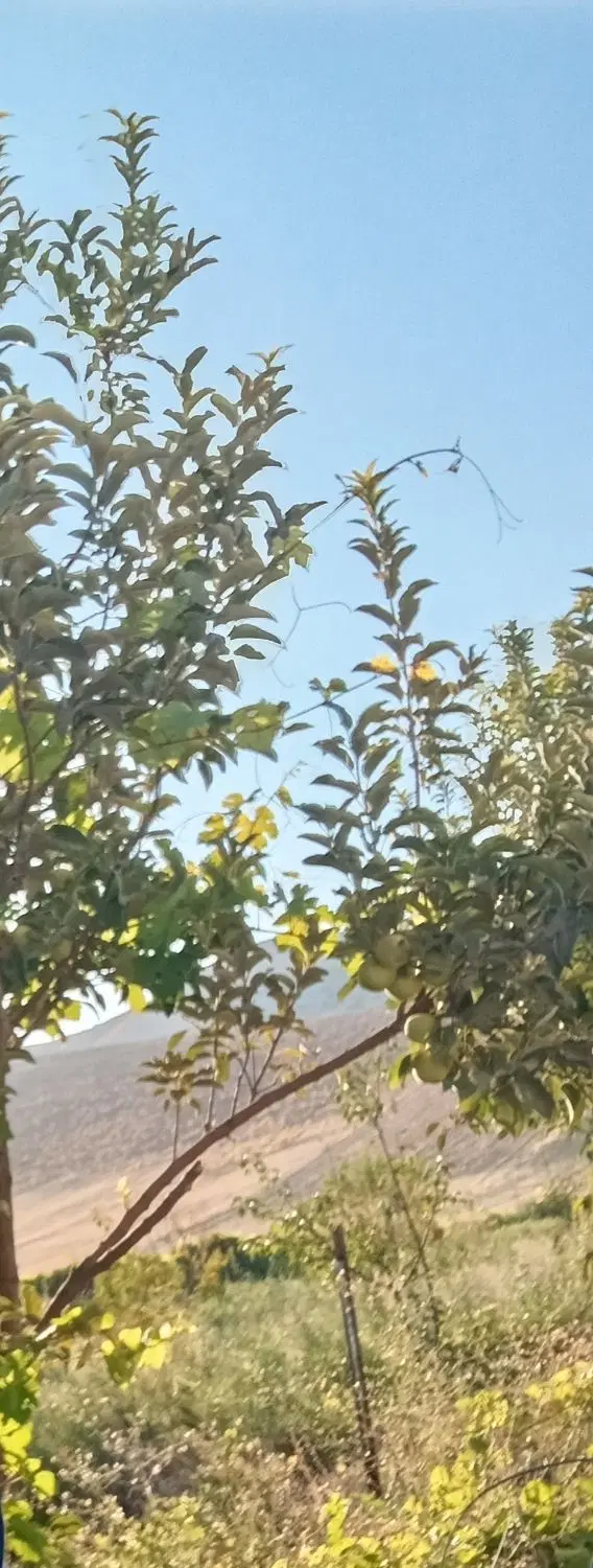 زمین و باغ ۱۷۰۰ متری