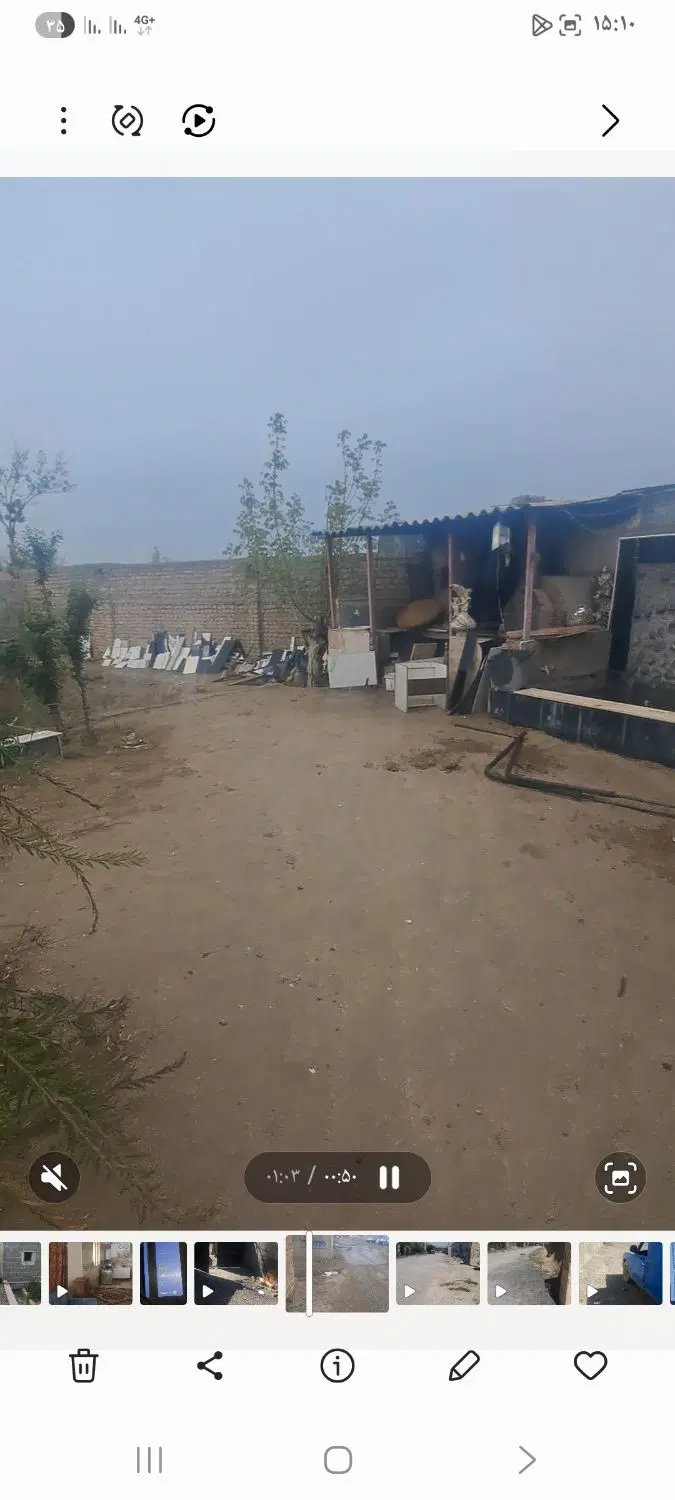 باغی