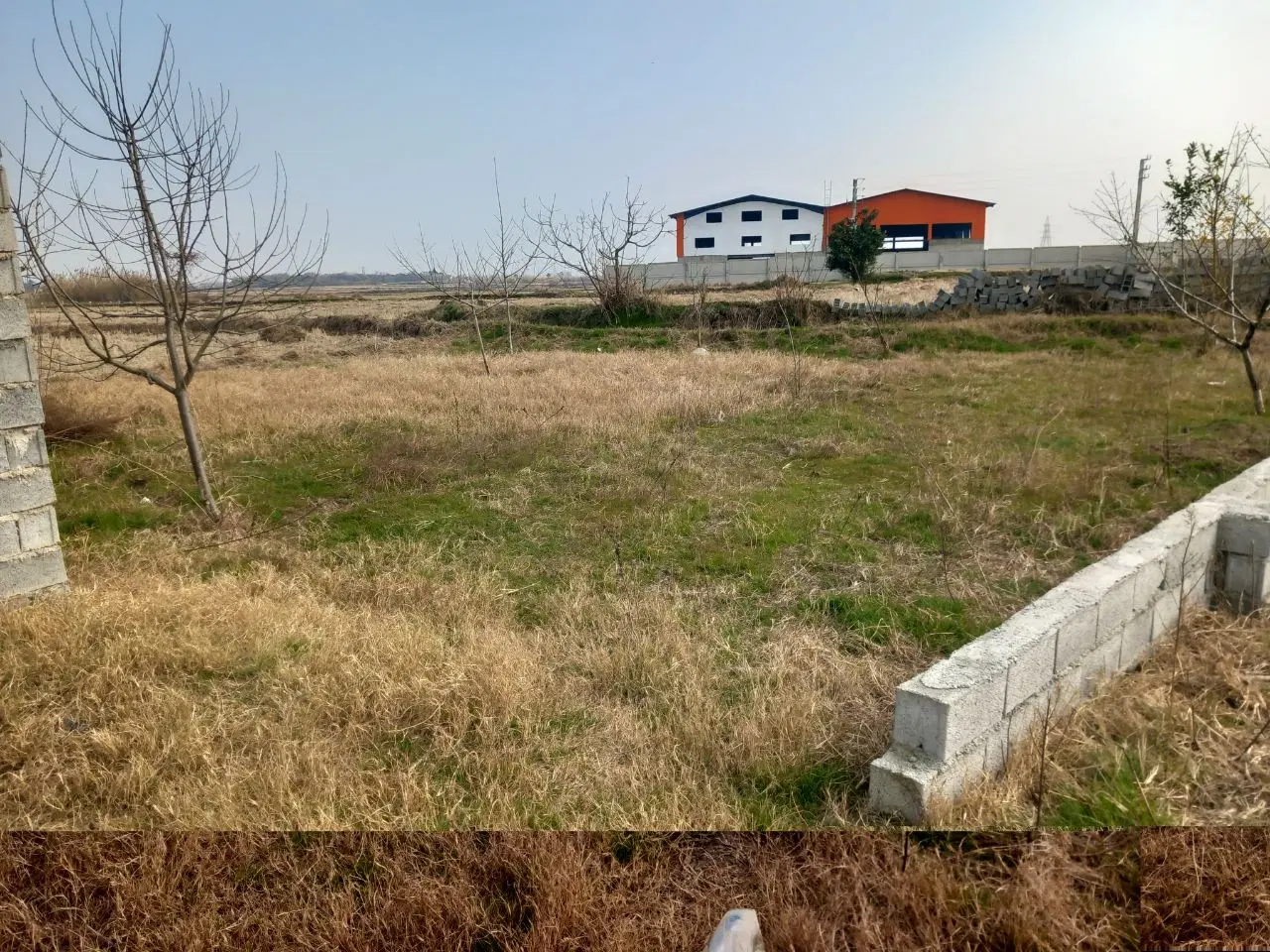 فروش زمین باغی