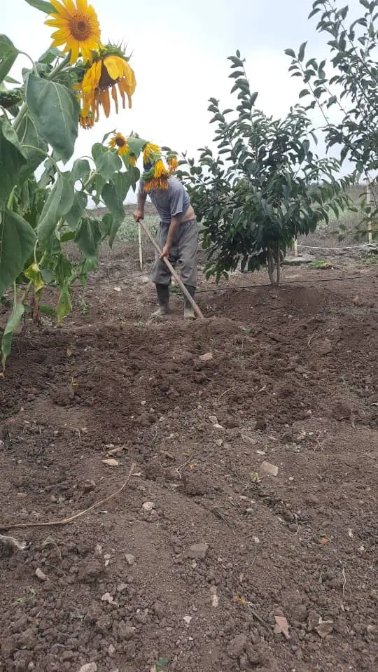۱۲۰۰متر زمین باغی فروش یا معاوظه