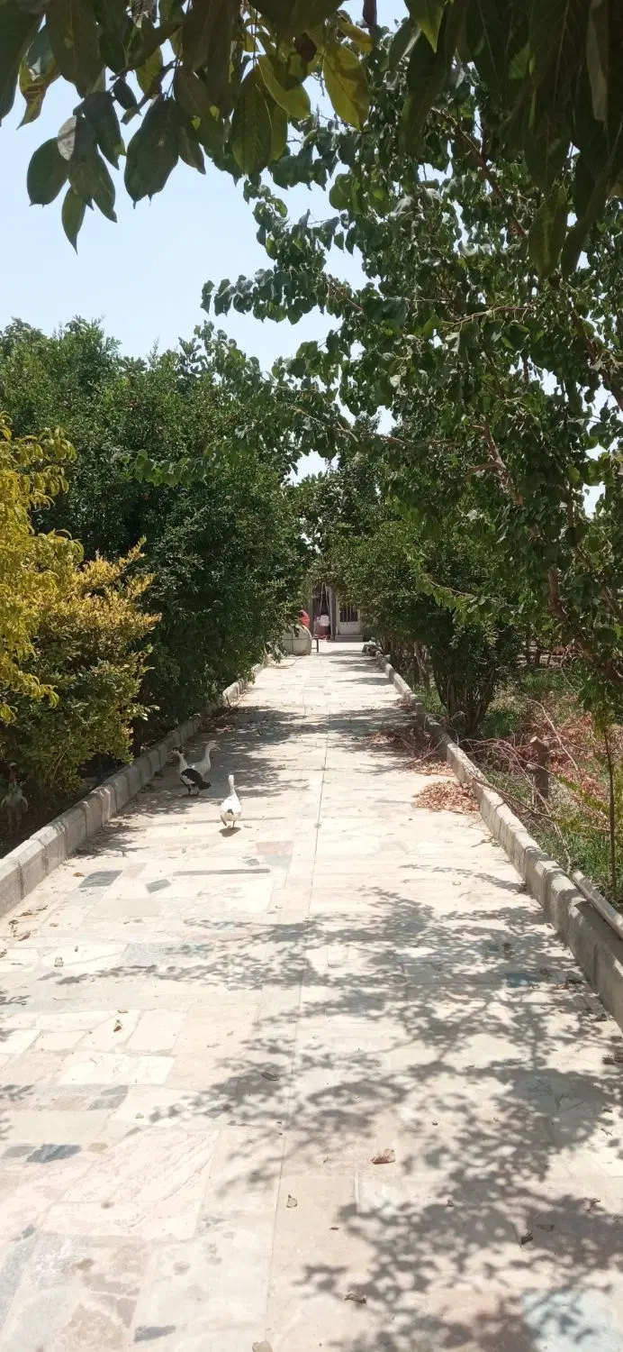 باغ