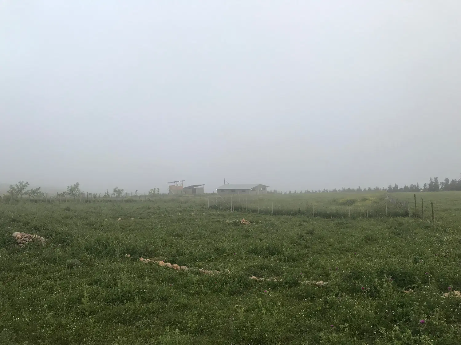 فروش زمین