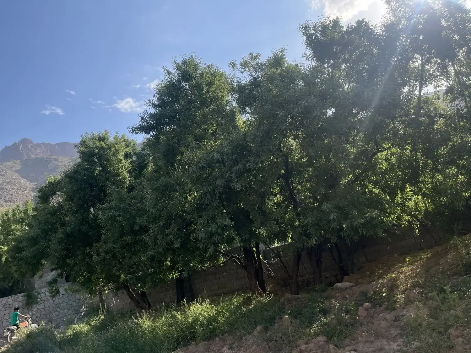 فروش زمین طزرجان