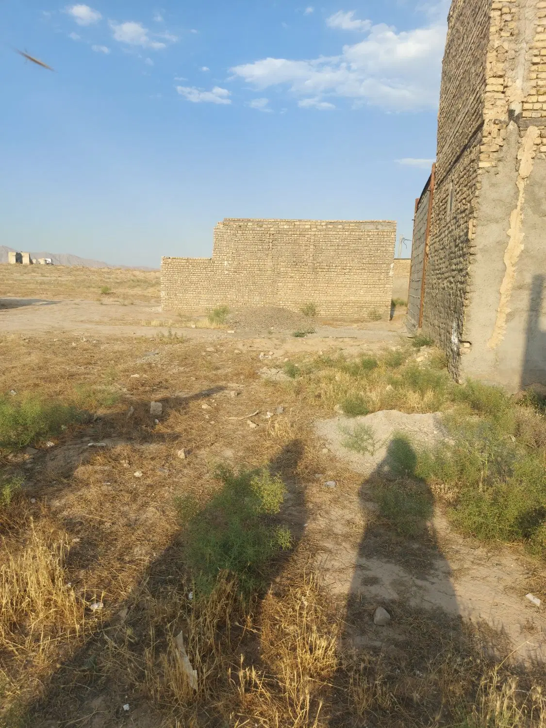 زمین