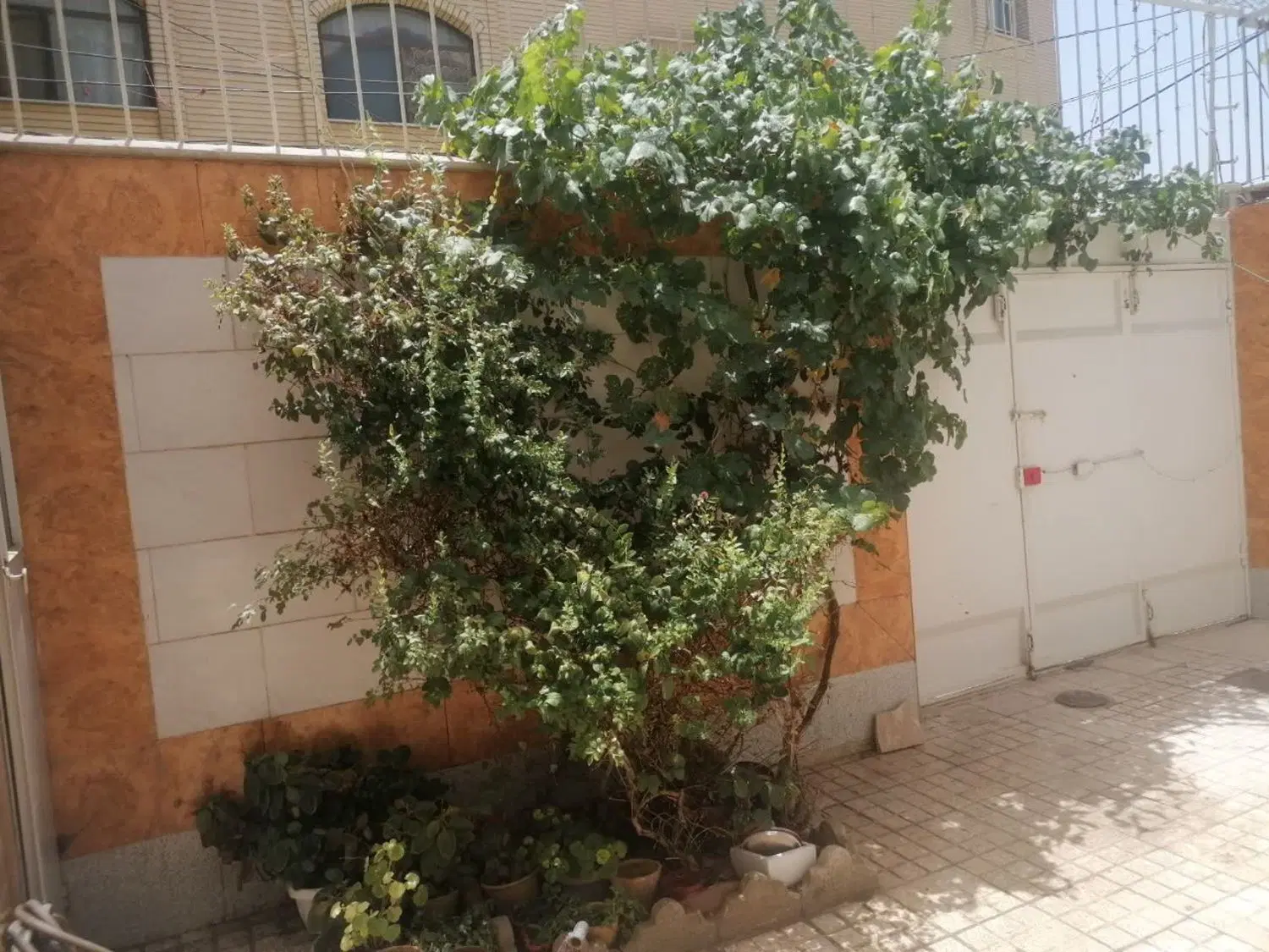 اجاره منزل مسکونی