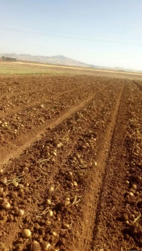 زمین کوهباد