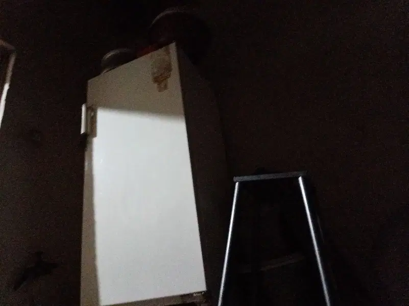 همخونه ی میشم