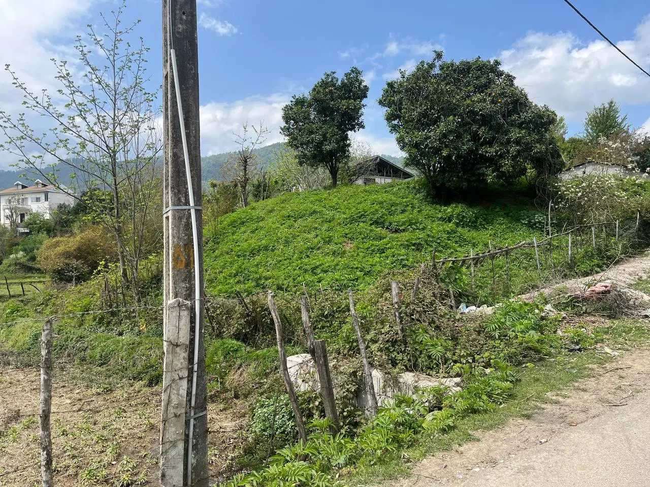فروش زمین مسکونی روستای لیپا