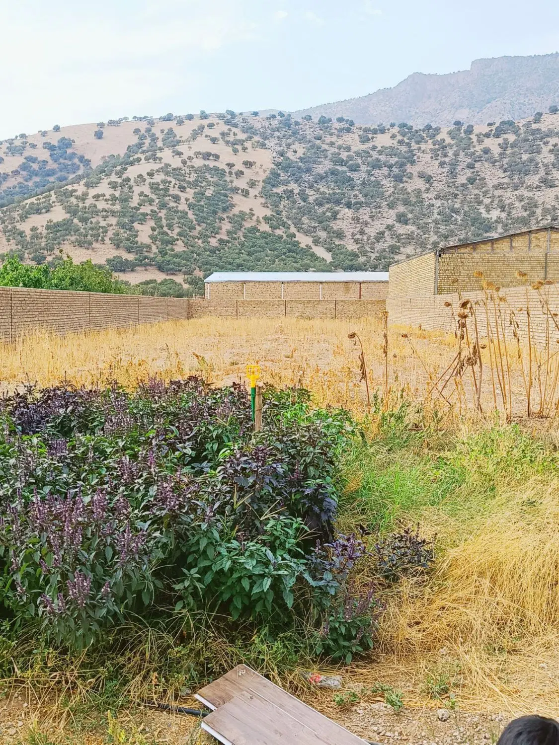 زمین باغ ویلا شمال خرم اباد