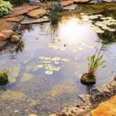 باغ باغچه زمین امامزاده گلپاشین