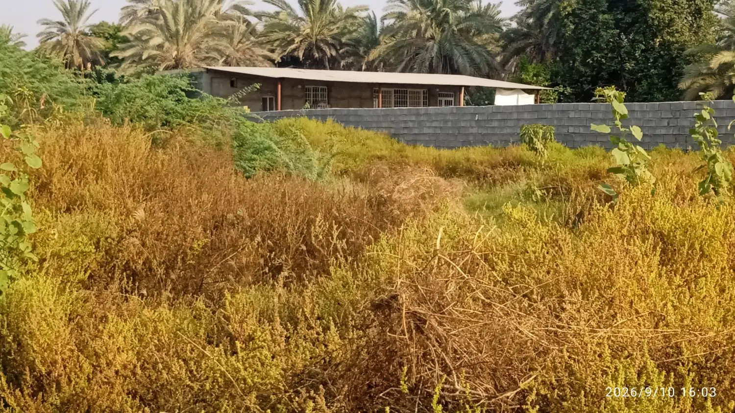 زمین ۱۶۰۰ متری فروشی