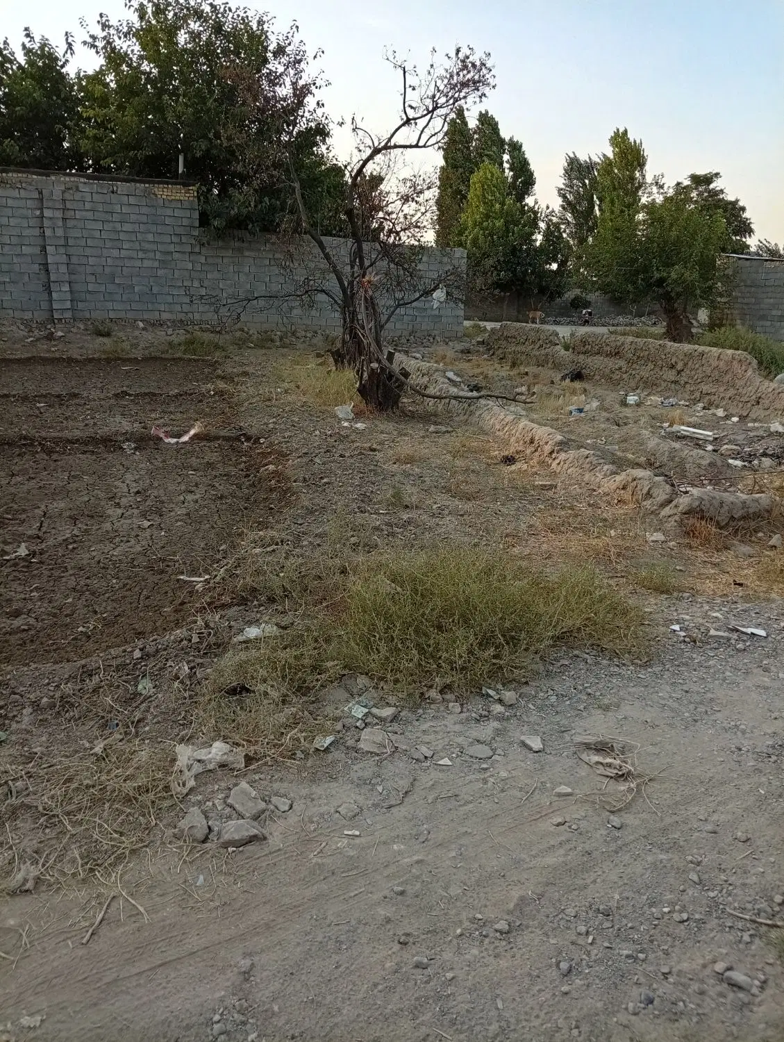 فروش زمین 116 متری در یوسف زاده