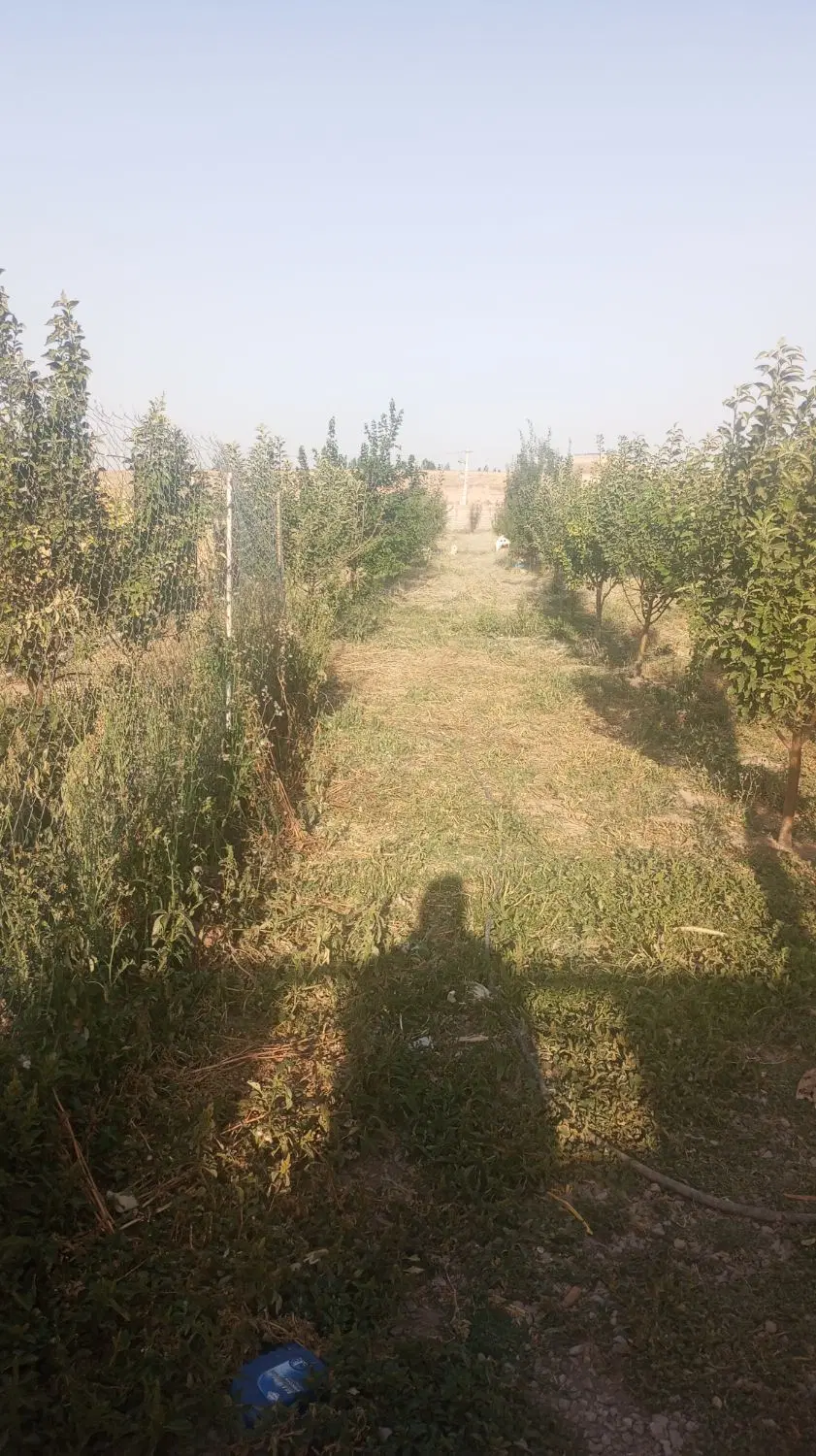 زمین ویلایی مسکونی دربافت روستای اسفستان