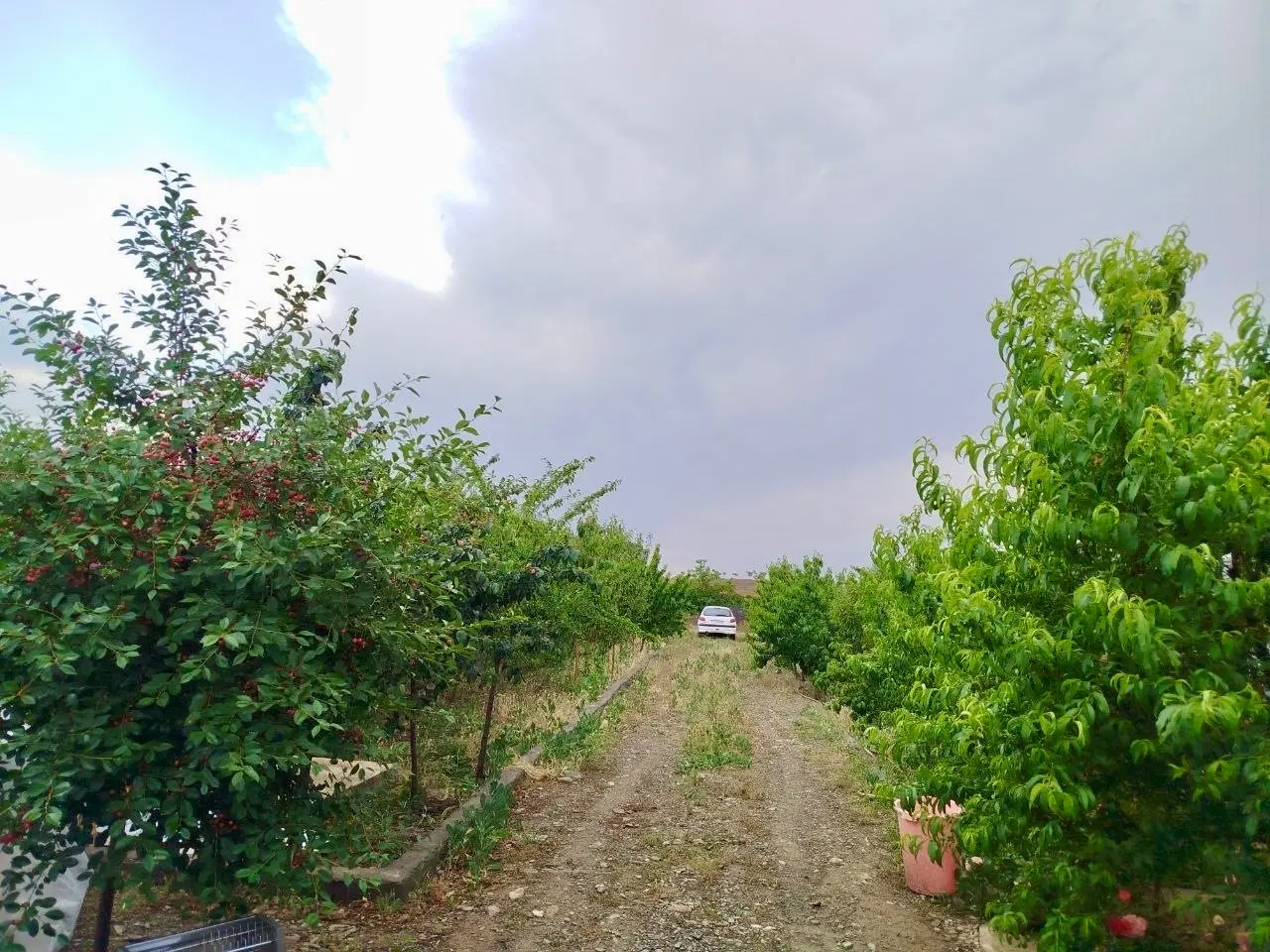 باغ ویلای شاندیز گراخک