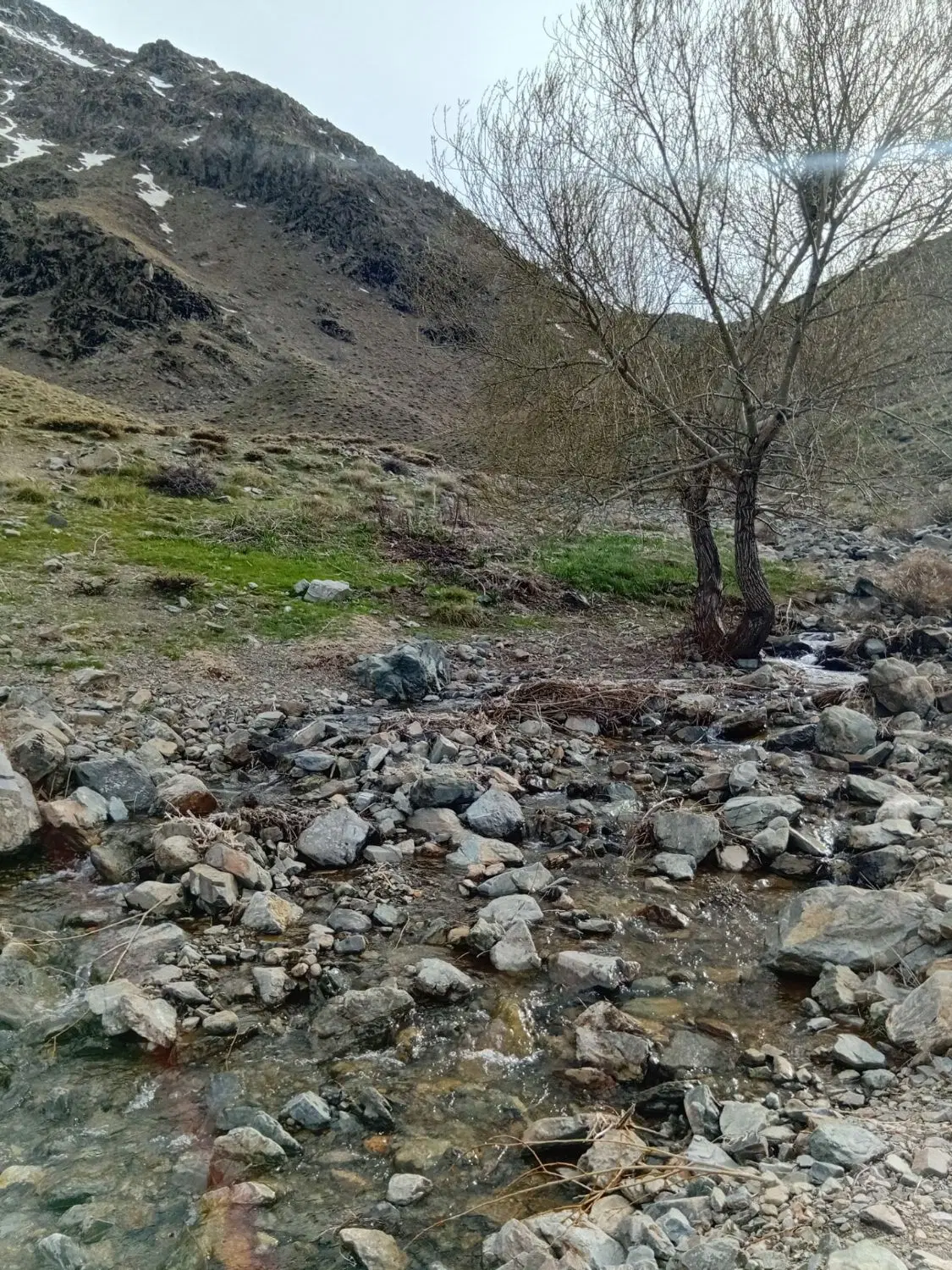 فروش زمین مسکونی